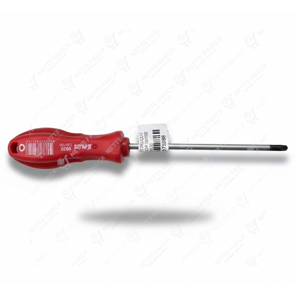 X PLUS TORX UÇLU TORNAVİDA T20x250