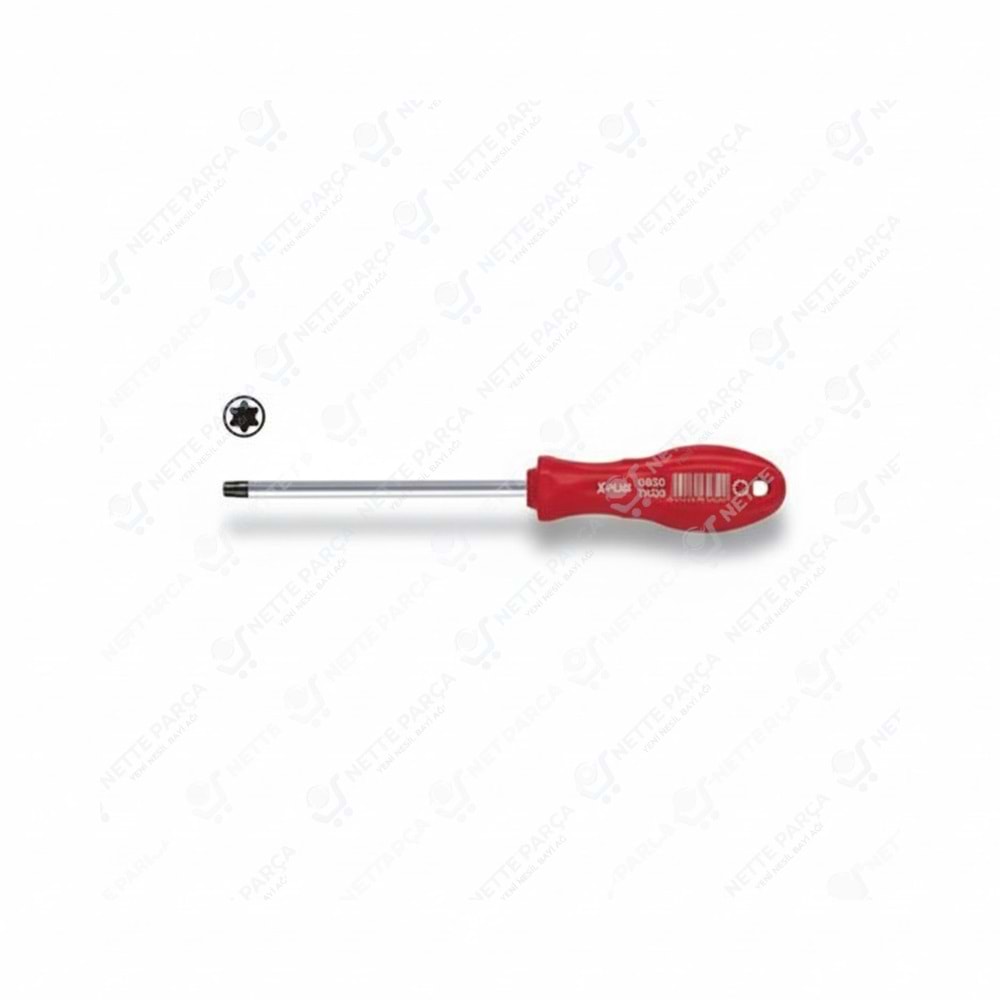 X PLUS TORX UÇLU TORNAVİDA T15x250