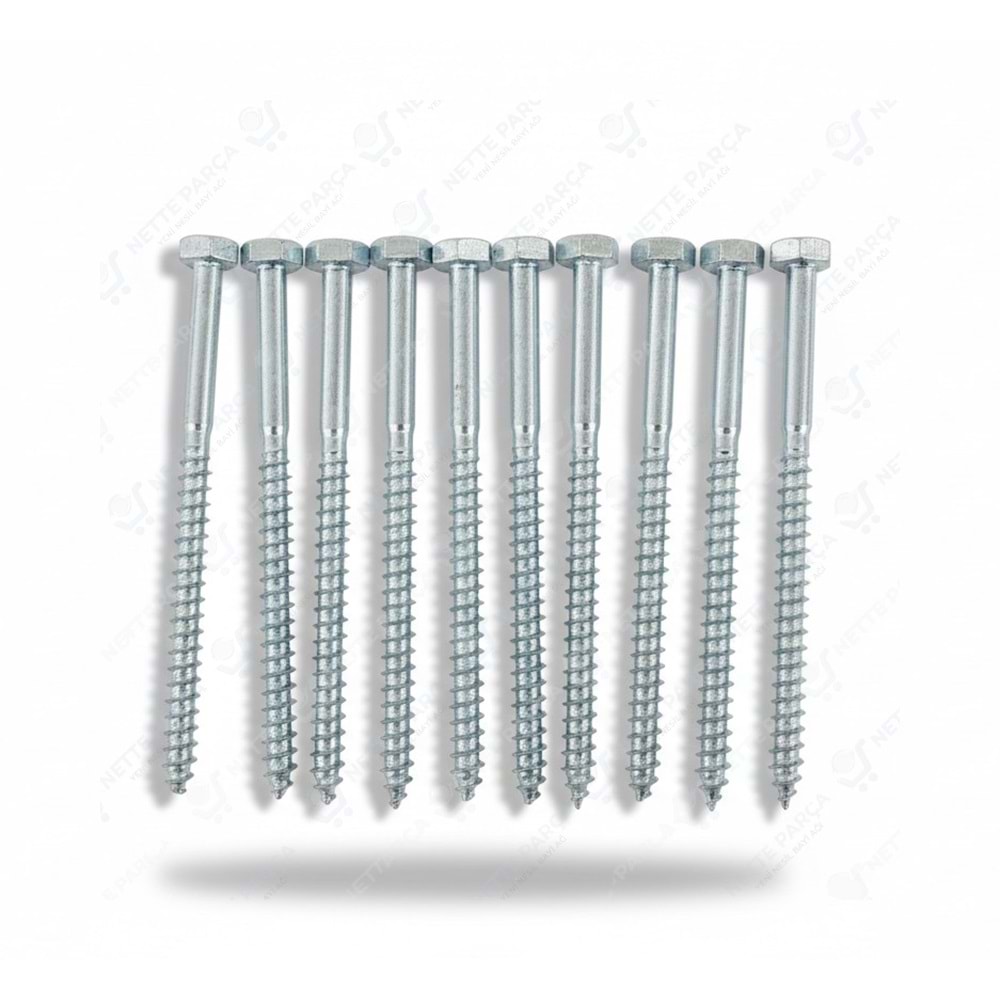 TRİFON UZUN VİDA 10LU