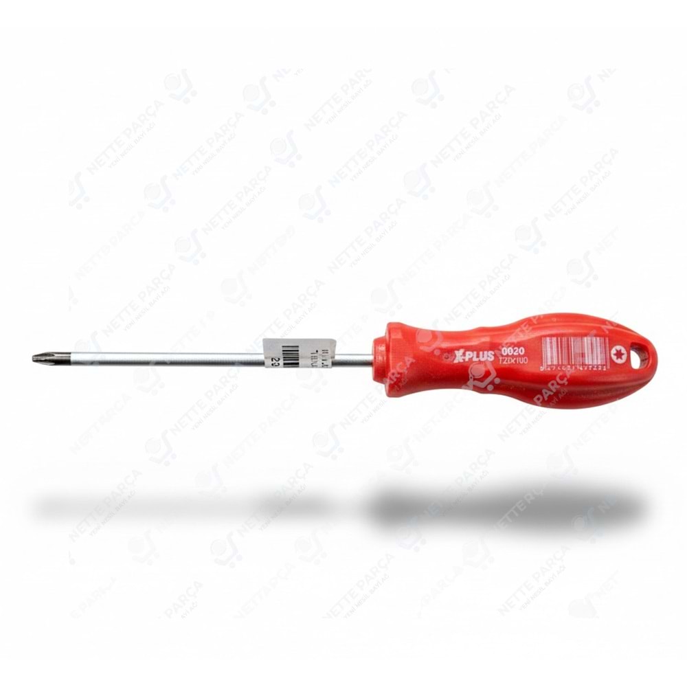 X PLUS TORX UÇLU TORNAVİDA T20x100(0920)