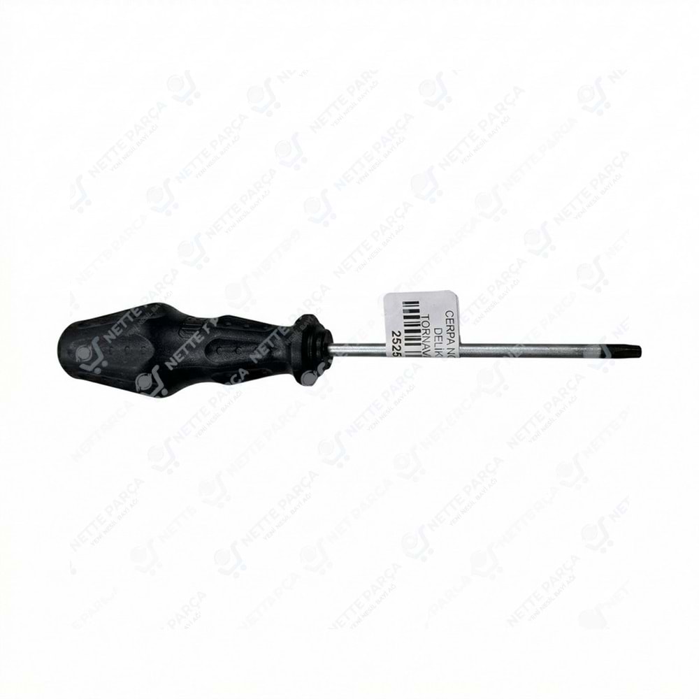 CERPA NORM KLASS DELİKLİ TORX TORNAVİDA T15X80 1915