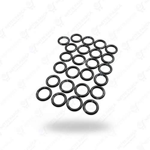 ECA ANA EŞANJÖR ORINGI 25 ADET