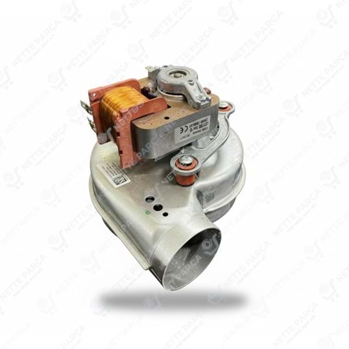 FAN FIME 60W FERROLİ DOMİNA