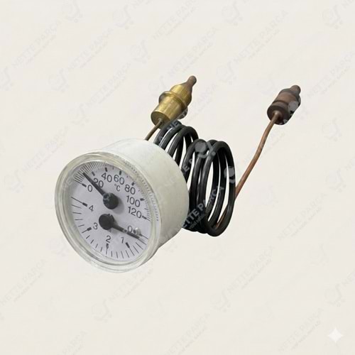 TERMOMANOMETRE CEWAL VIESSMANN GEÇME