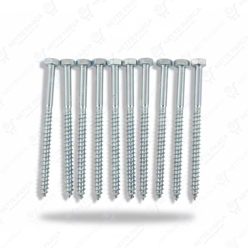 TRİFON UZUN VİDA 10LU